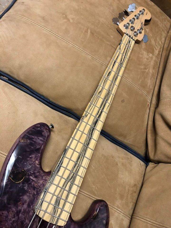 roscoe purple classic.jpg