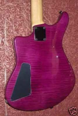 roscoe skb 4 rear.JPG