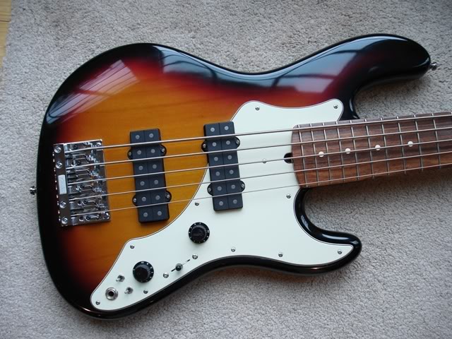 RoscoeBackV001.jpg