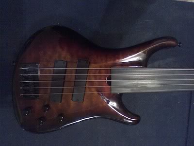 RoscoeLG-3005Fretless.jpg