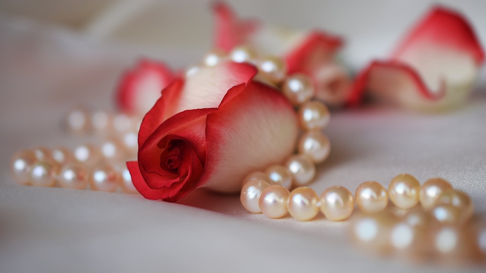 rose-3030462_960_720.jpg
