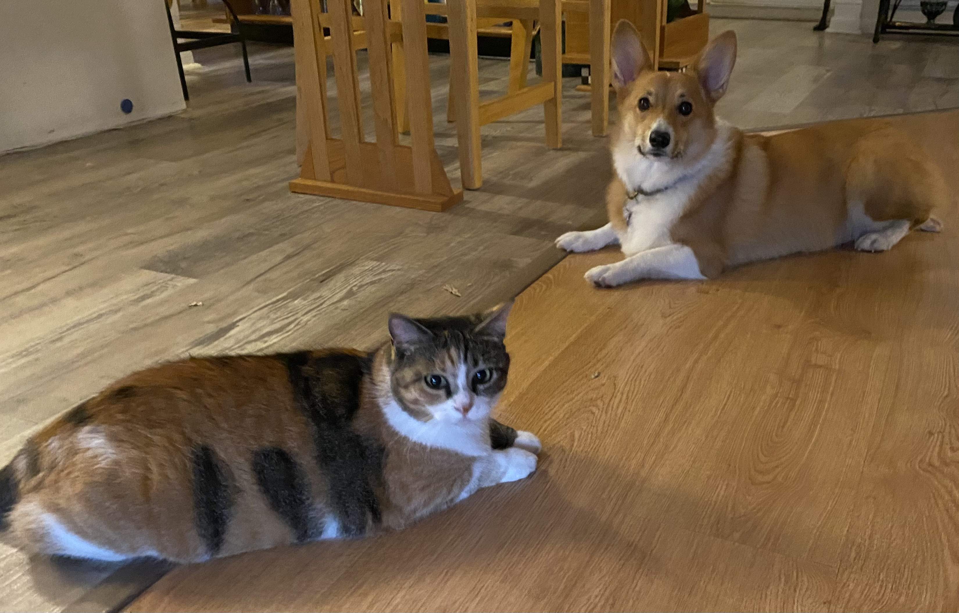 Rose and Olive.jpg