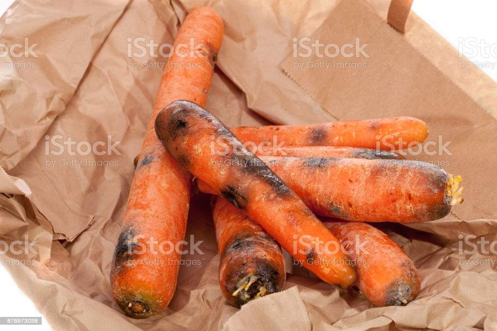 rotten carrots.jpg