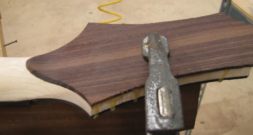 roughheadstock.jpg