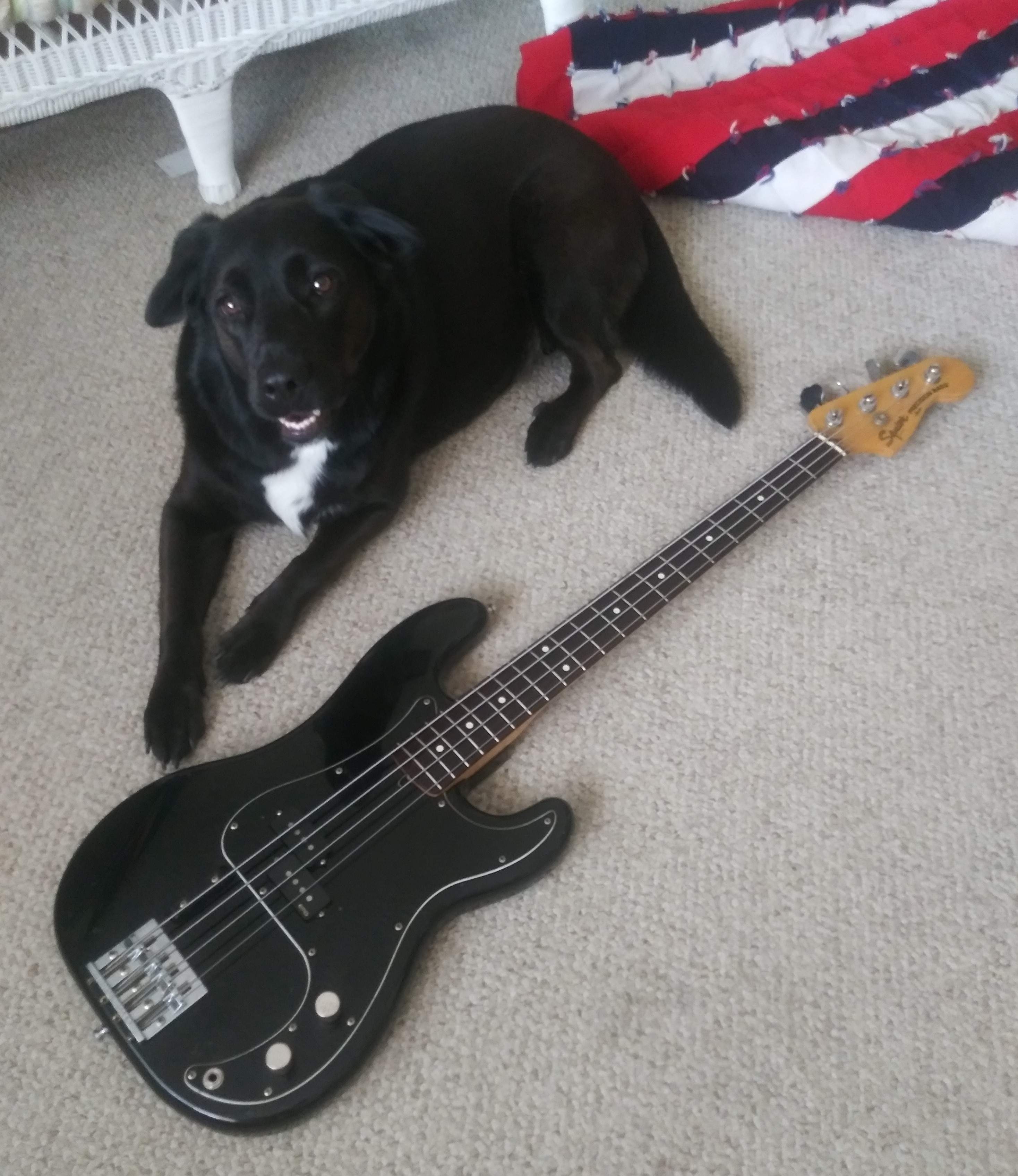 Roxy and Squier.jpg