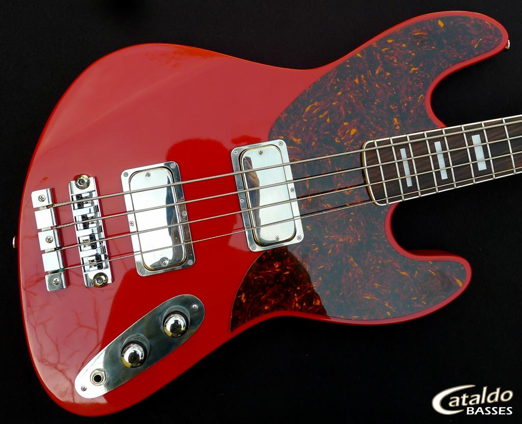 RRTortbody_zpsb4fd6282.jpg
