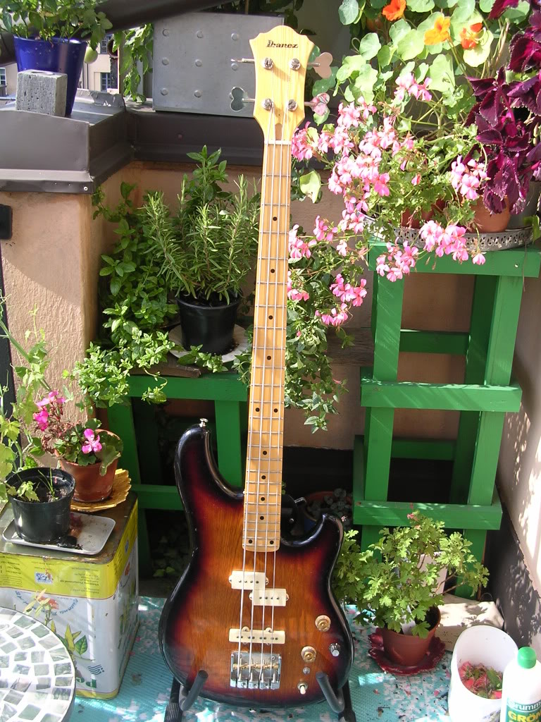 RS9242.jpg
