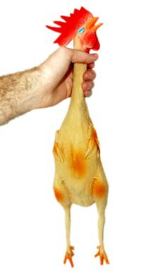 rubber-chicken.jpg