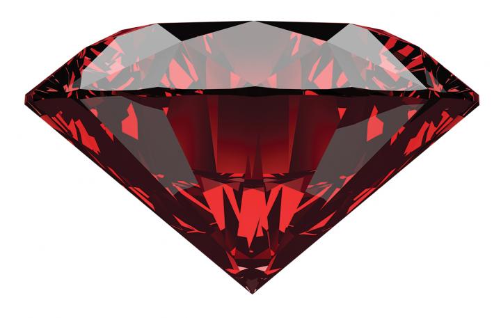 ruby-honored_member-shutterstock4c.jpg