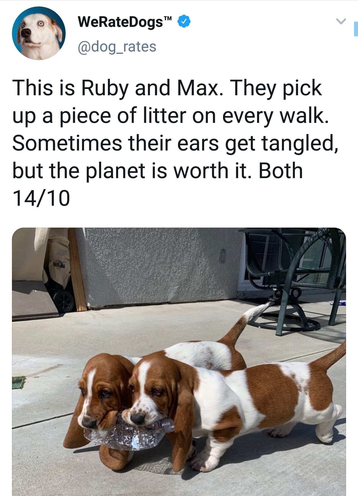 Ruby Max.jpg