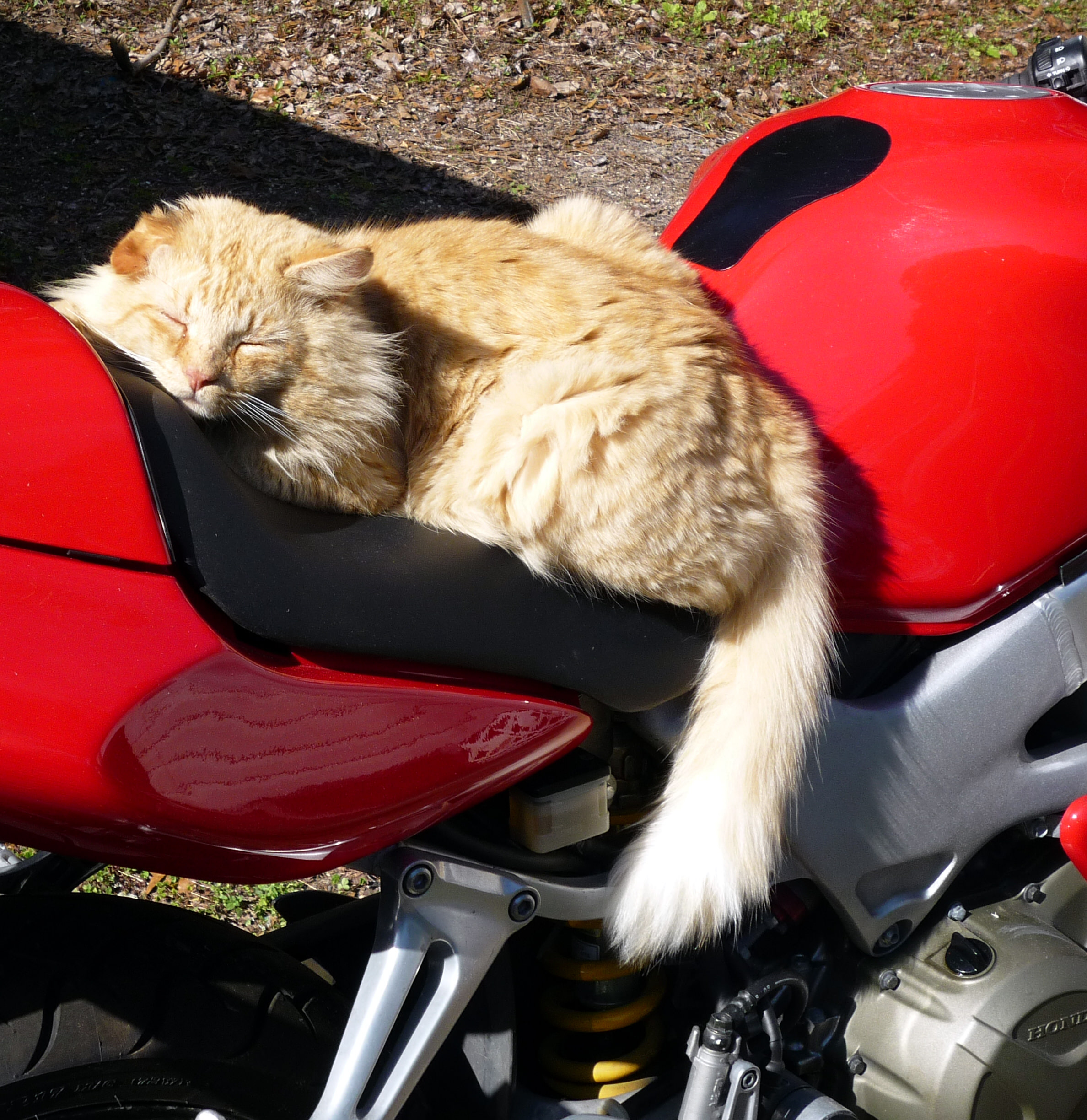 rucKrOc.jpg