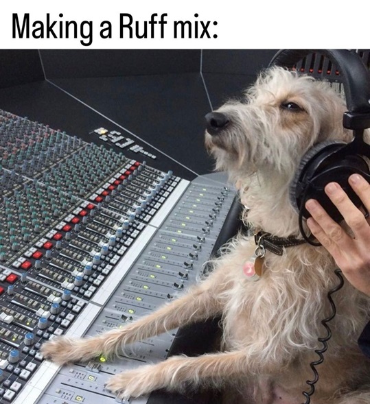 ruff mix.jpg