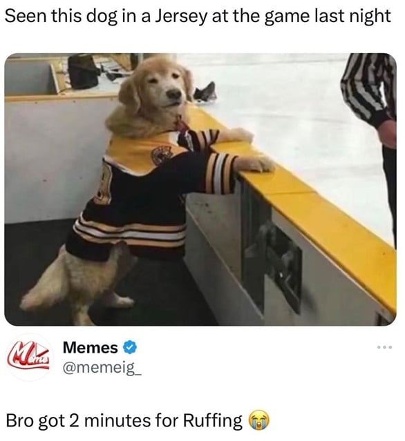 ruffing dog.jpg
