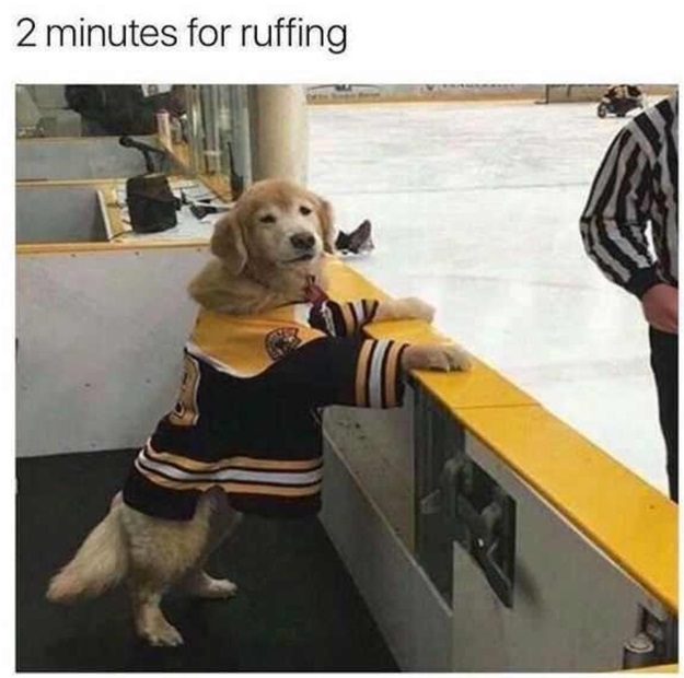 ruffing-jpg.5268467