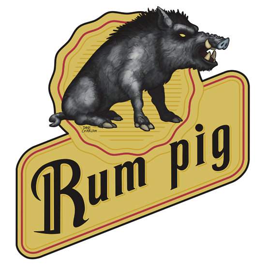 RumPig 01.jpg