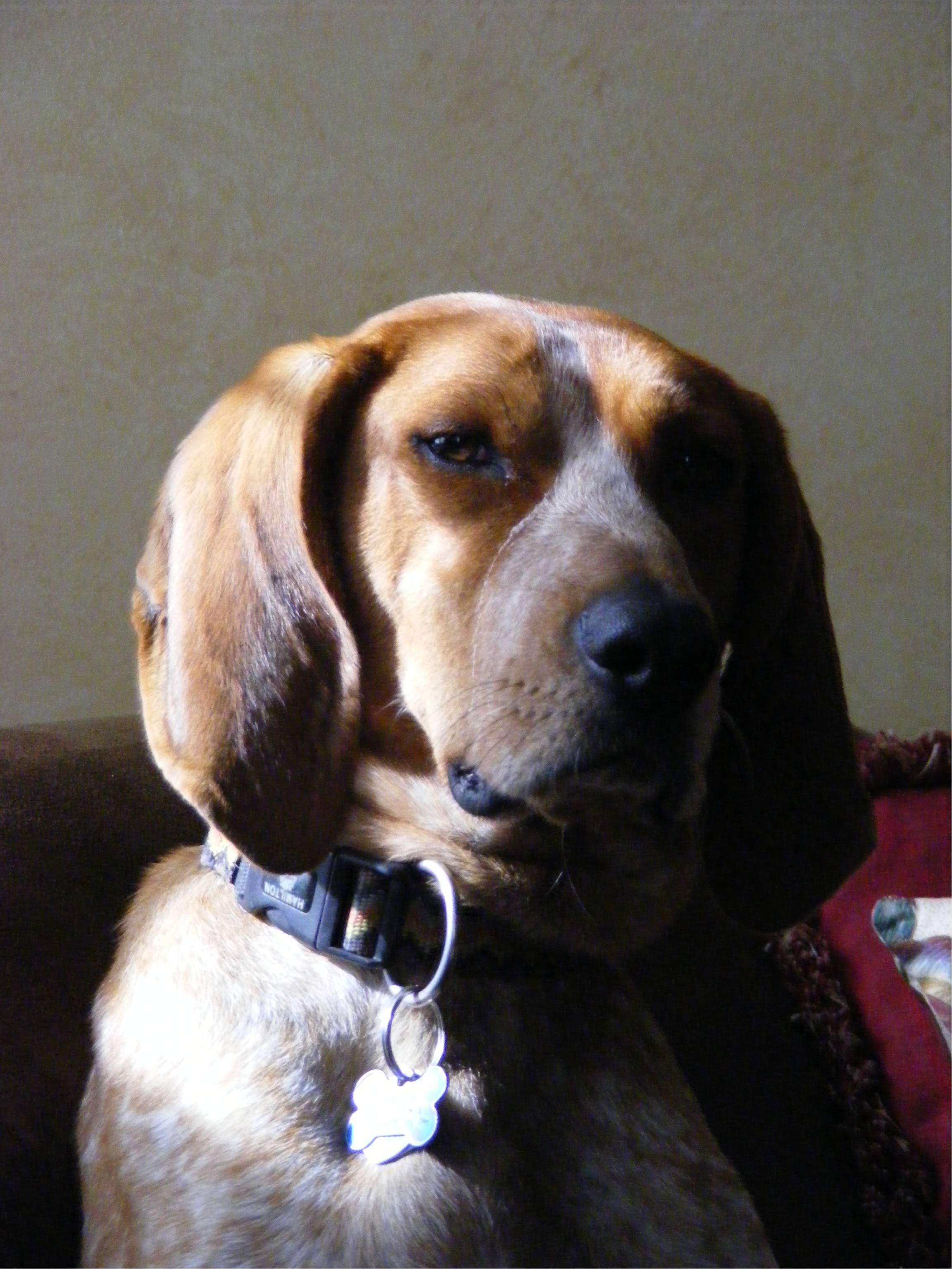 Rusty 004.jpg