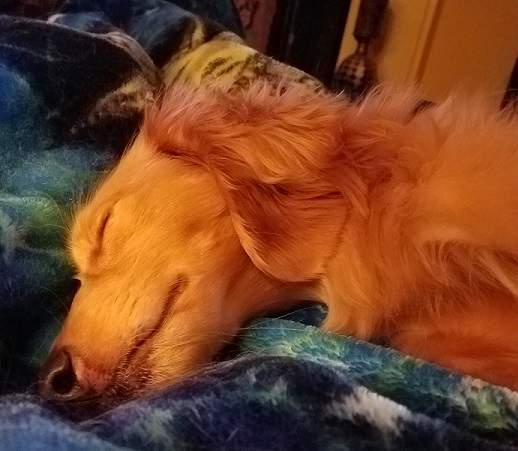 RustyNapping.jpg