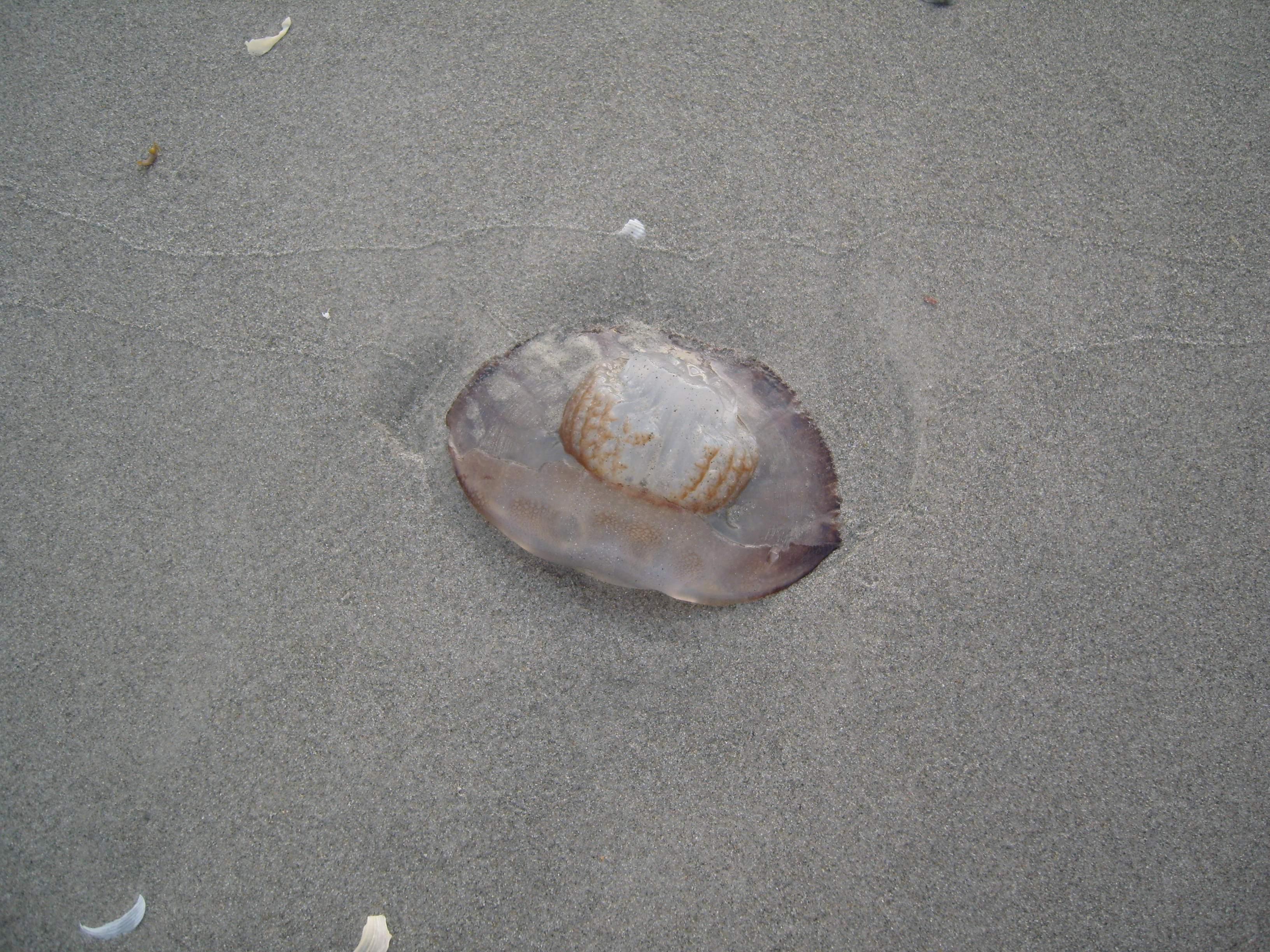 S1032768.JPG