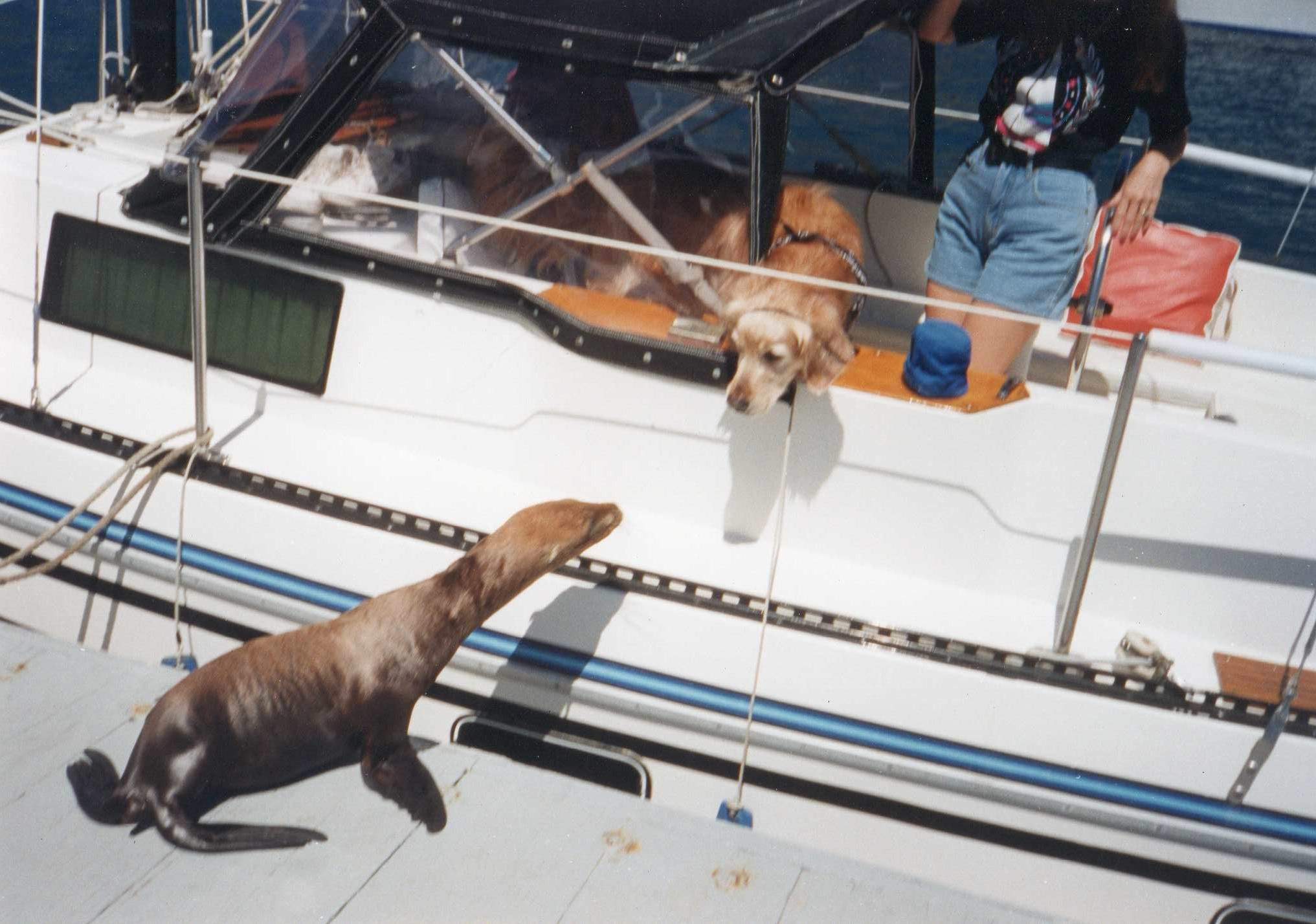 S2  Reggie Seal157.jpg