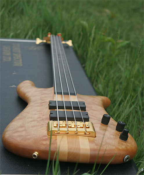 S33.jpg