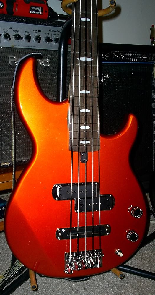 S4020896.jpg
