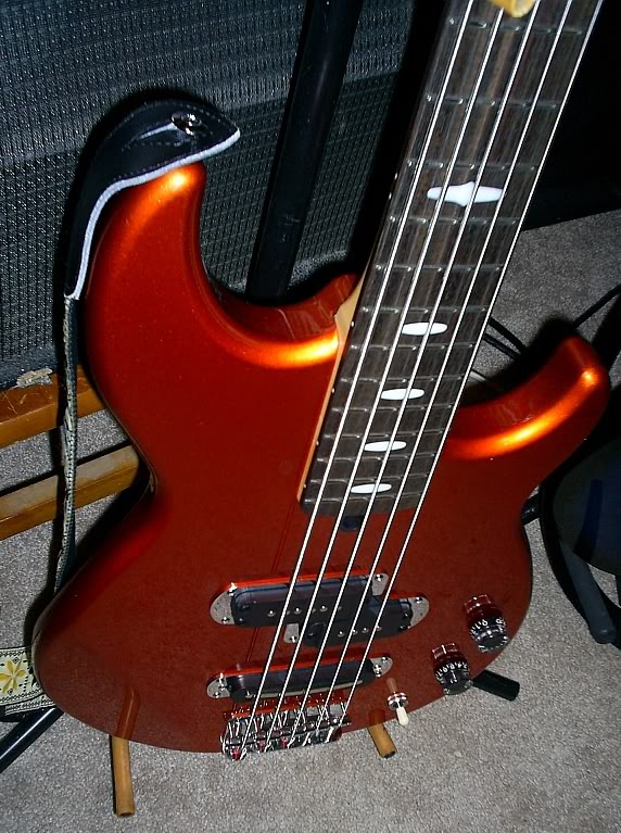 S4020898.jpg