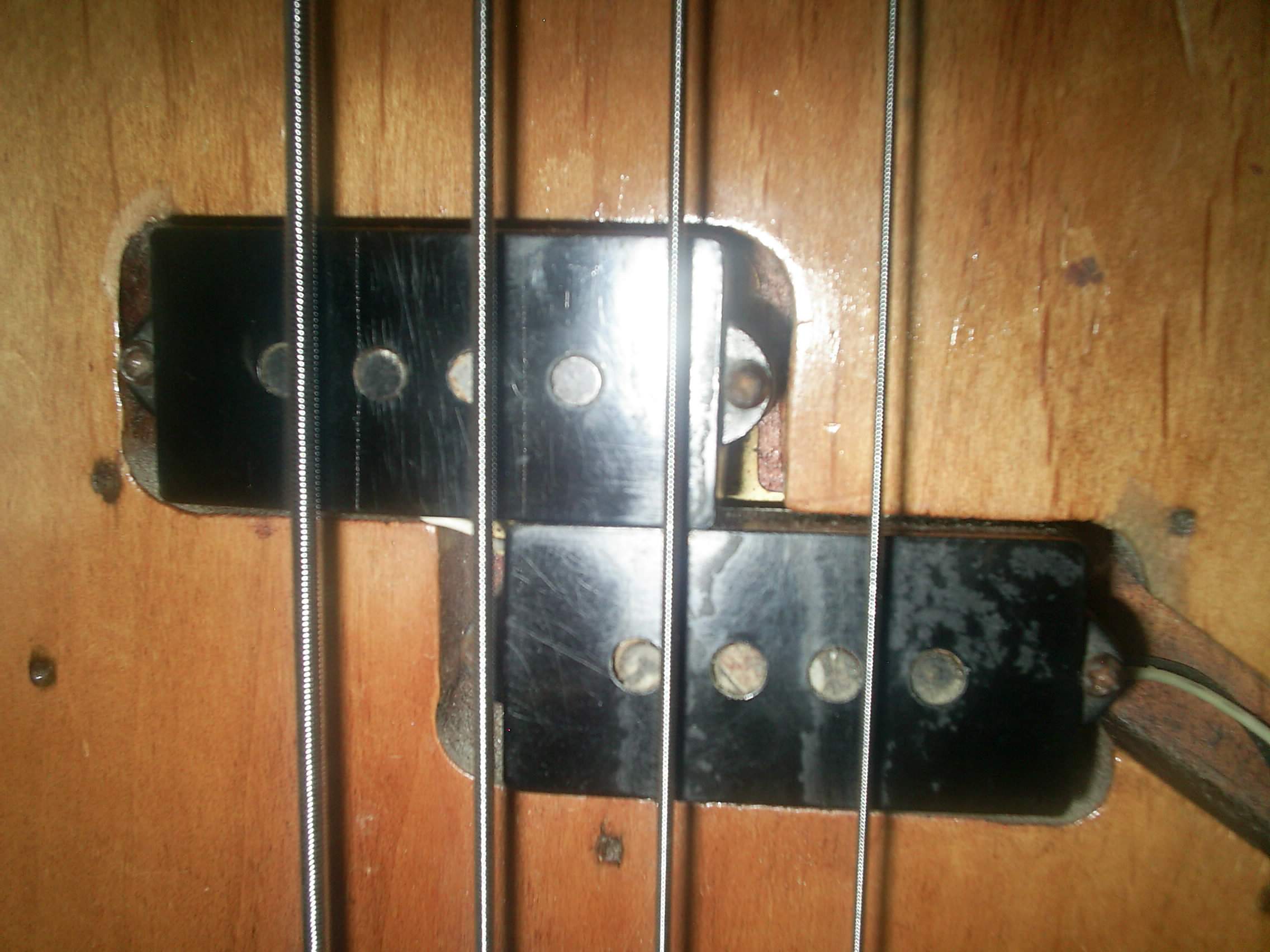 S4022661.JPG