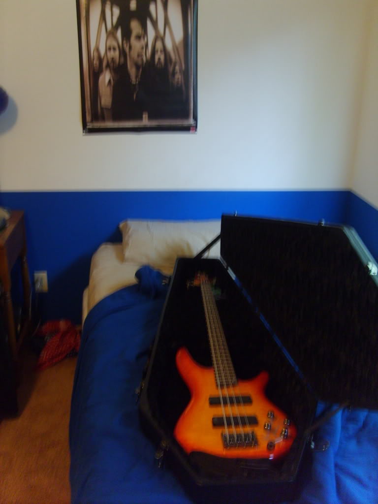 S5001378.jpg