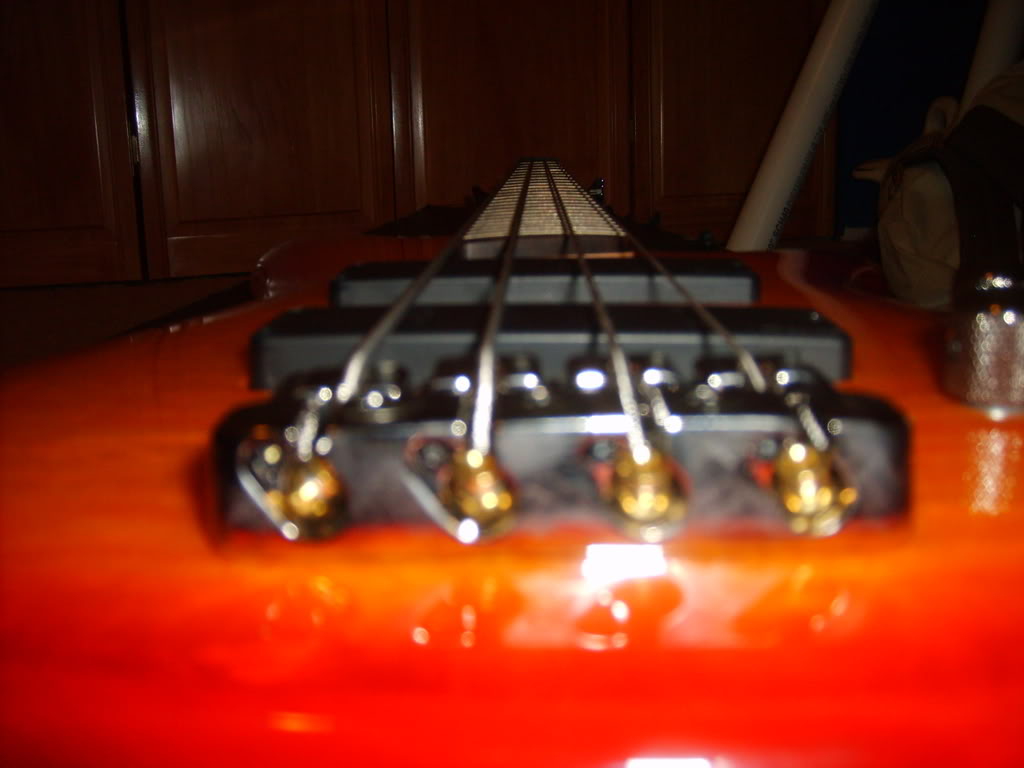 S5001391.jpg