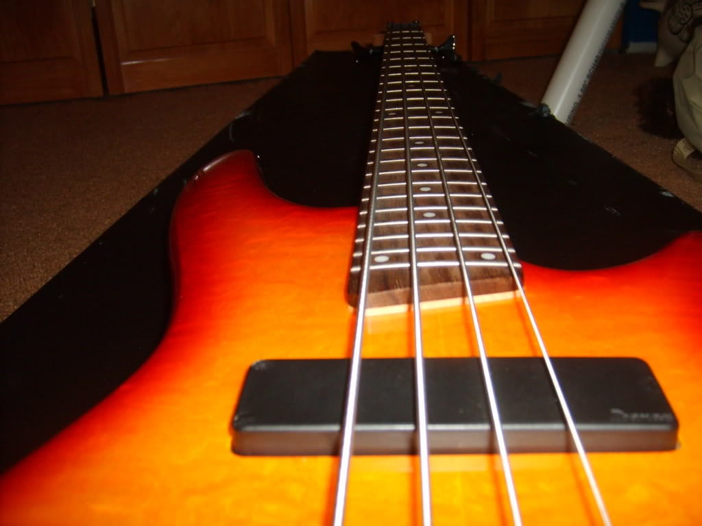 S5001392.jpg