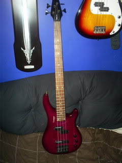 S5030242.jpg