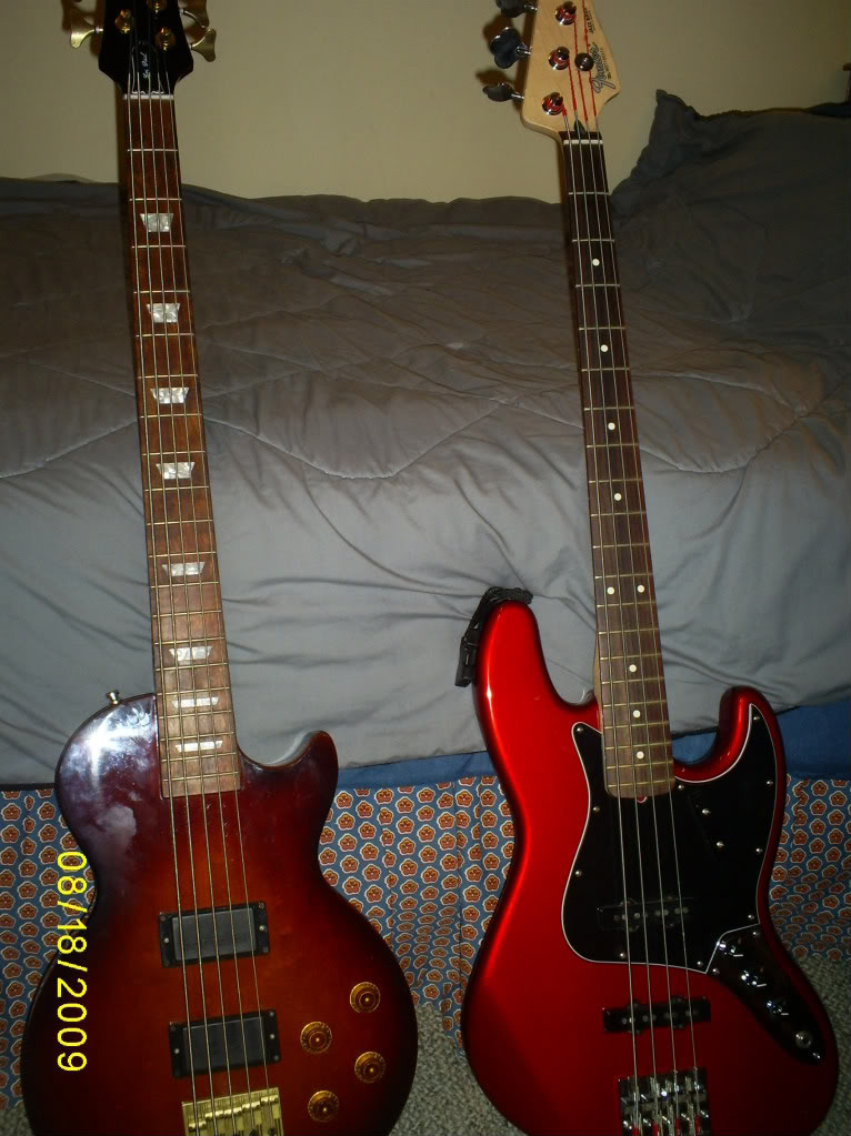 S5030651.jpg