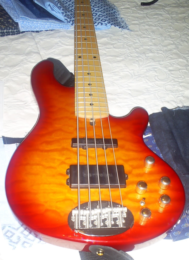 S5031420.jpg