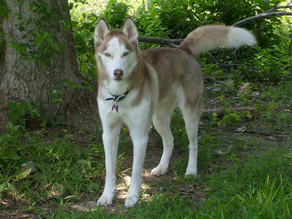 S6300032.jpg