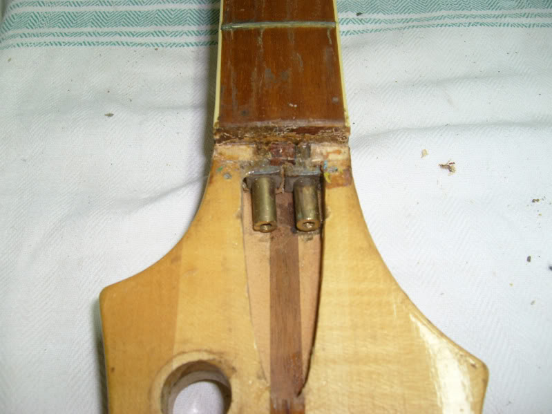 s7300172.jpg