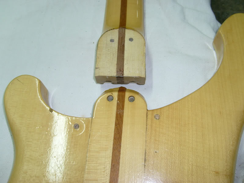 S7300174.jpg