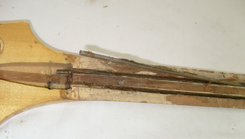 s7300176.jpg