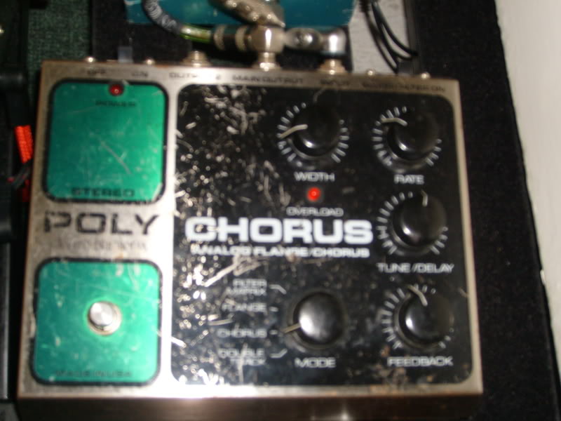 S7300216.jpg