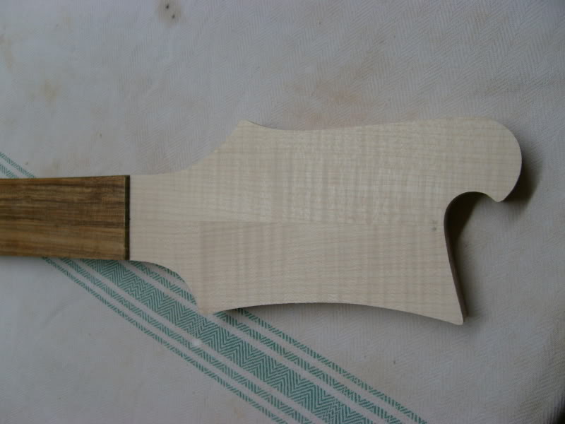 S7300224.jpg