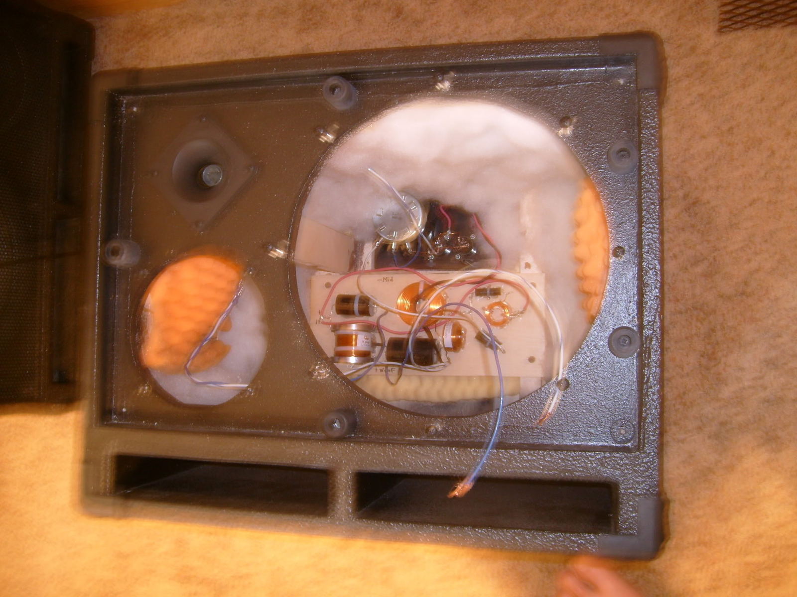 S7300333.jpg