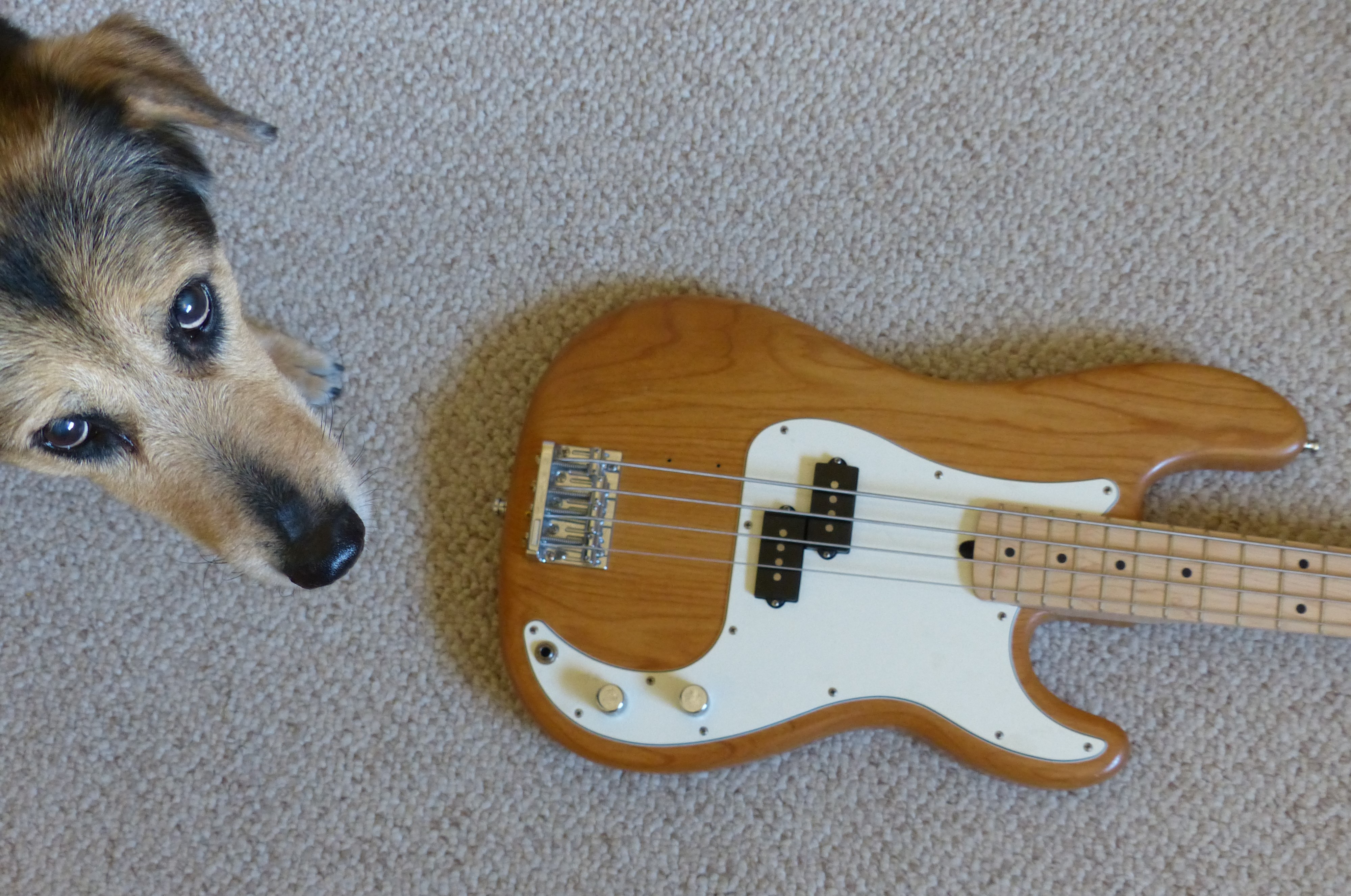 Sabbath and Warmoth.JPG