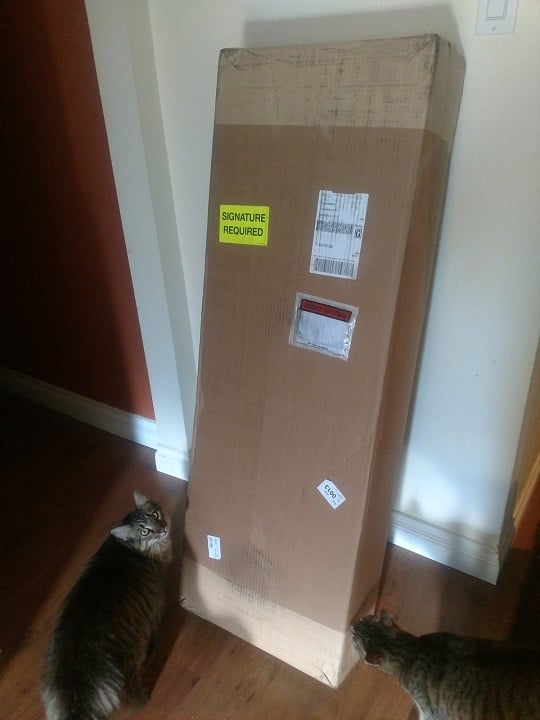 sad box.jpg