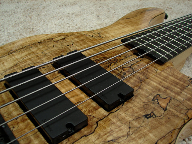 sadowsky_24f5_2.jpg