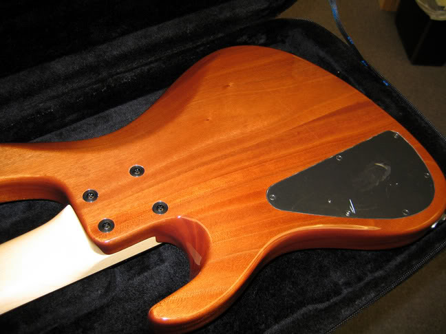 Sadowsky_back.jpg