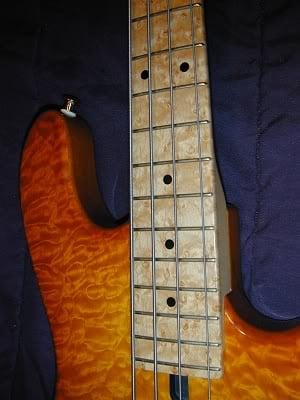 Sadowskybassbirdseyesml.jpg