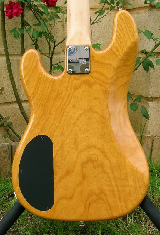 SadowskyNYCUVPJ4_bodyback.jpg