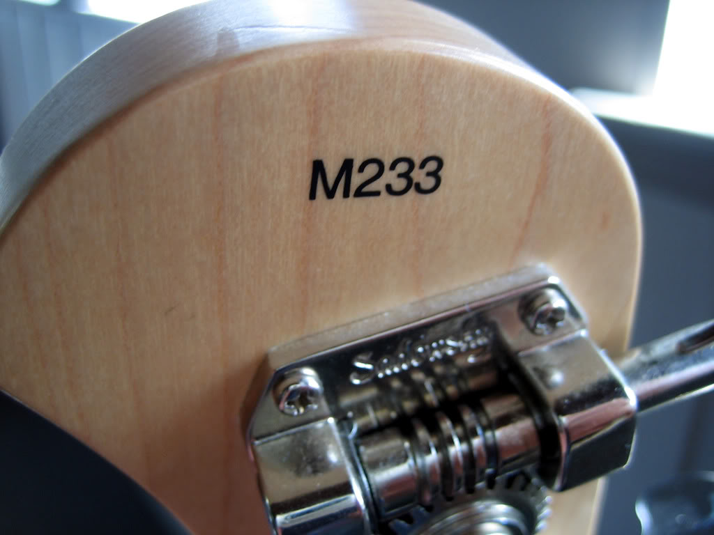 SadowskyTWMV4SerialNumber.jpg