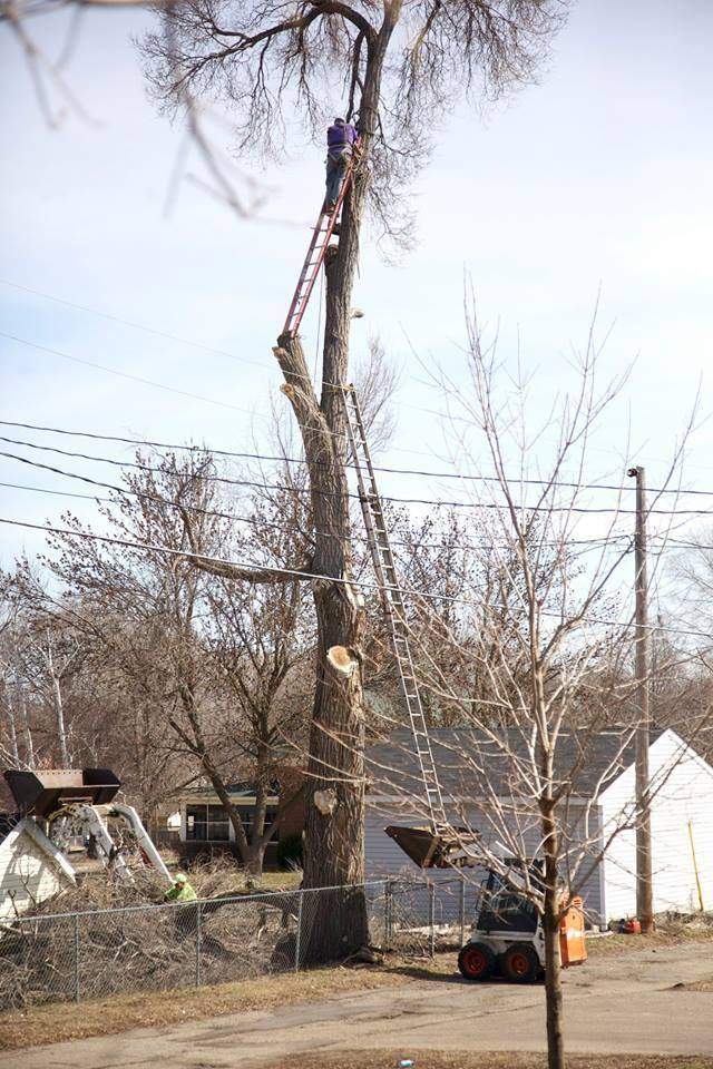 Safe Ladder Use.jpg