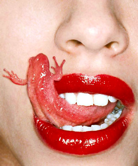 salamander-tongue.jpg