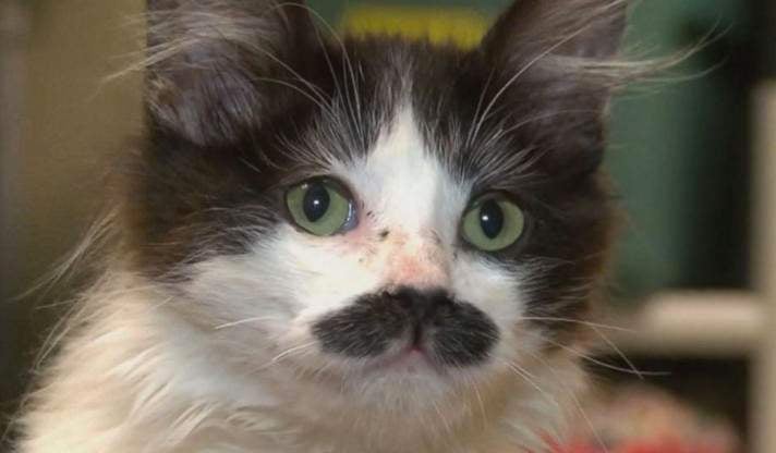 sally-ann-stach.jpg